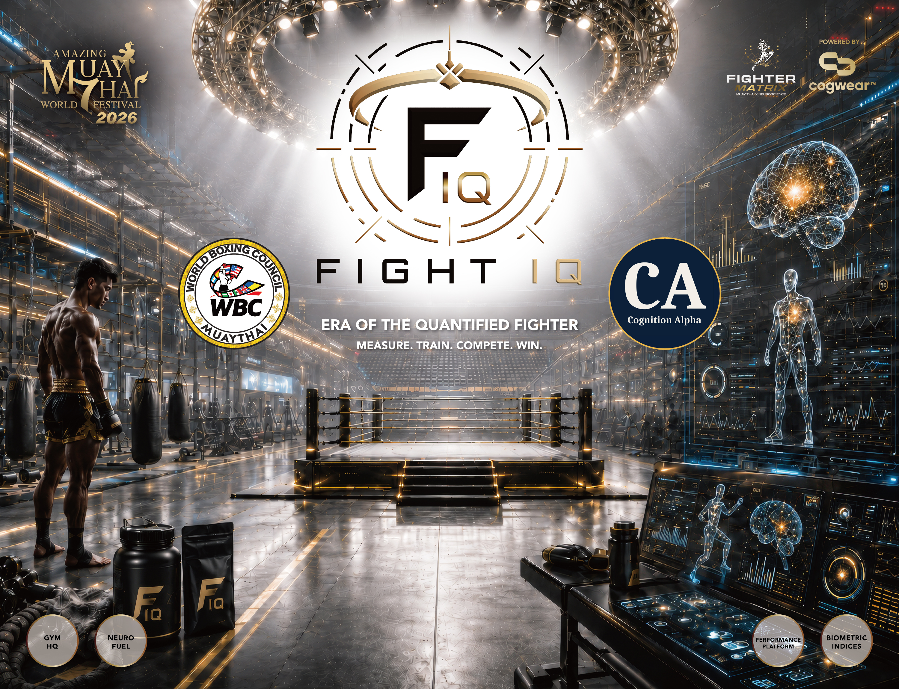Fight IQ Gym HQ Bangkok interior